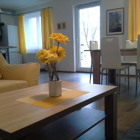 Rodinny Apartman Lucie V Blizkosti Wellness Hotelu Ve Frymburku エクステリア 写真