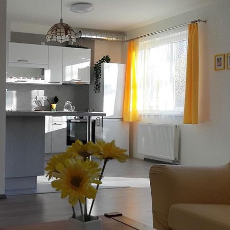 Rodinny Apartman Lucie V Blizkosti Wellness Hotelu Ve Frymburku エクステリア 写真