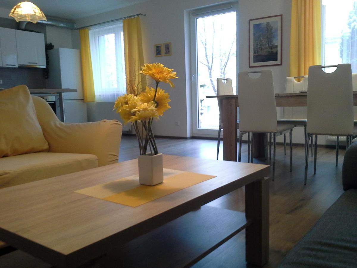 Rodinny Apartman Lucie V Blizkosti Wellness Hotelu Ve Frymburku エクステリア 写真