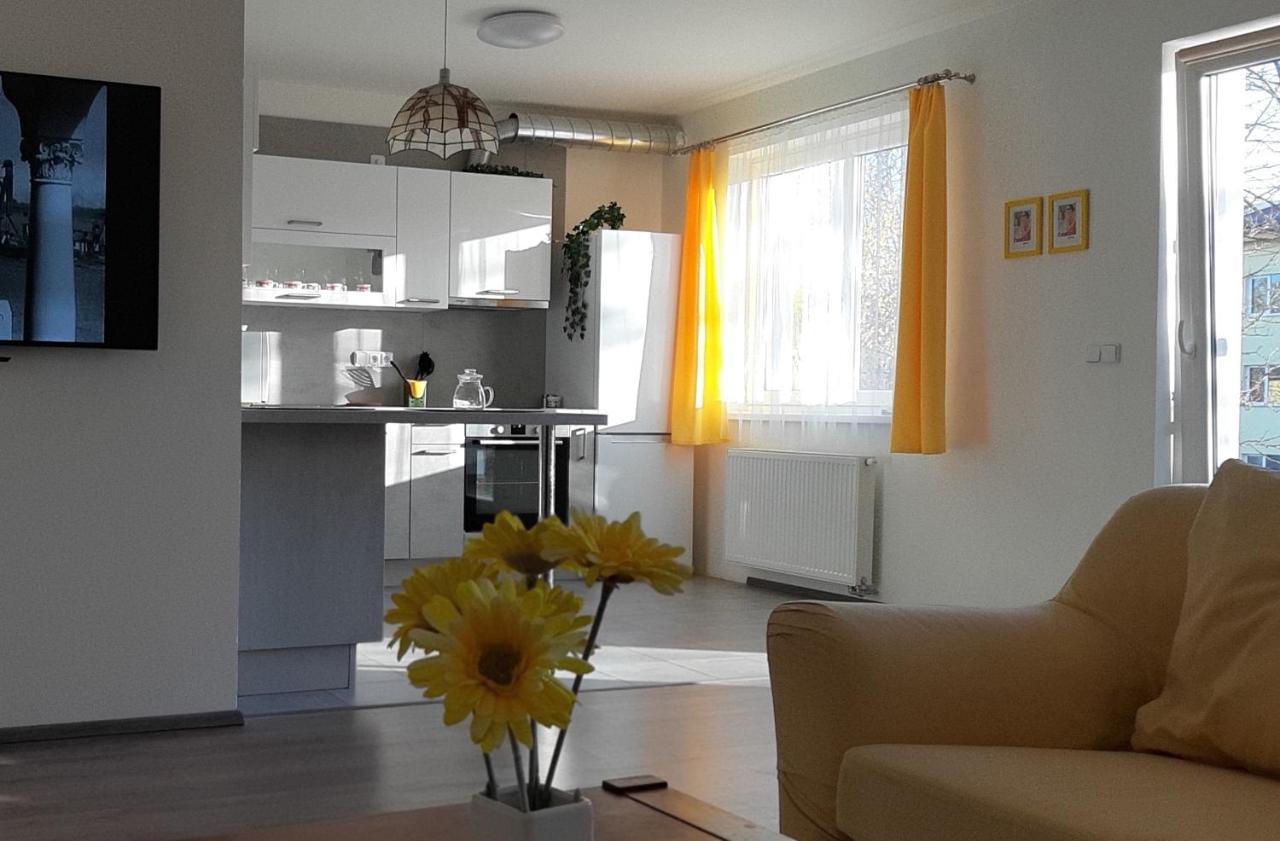Rodinny Apartman Lucie V Blizkosti Wellness Hotelu Ve Frymburku エクステリア 写真