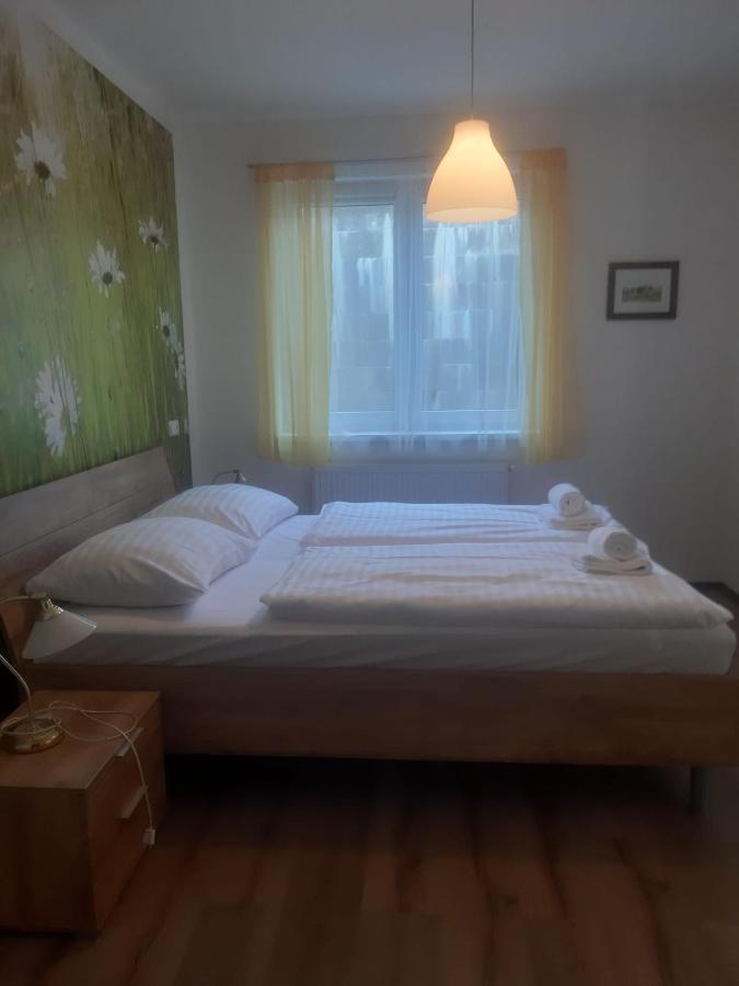 Rodinny Apartman Lucie V Blizkosti Wellness Hotelu Ve Frymburku エクステリア 写真