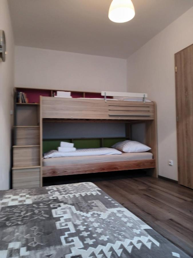 Rodinny Apartman Lucie V Blizkosti Wellness Hotelu Ve Frymburku エクステリア 写真