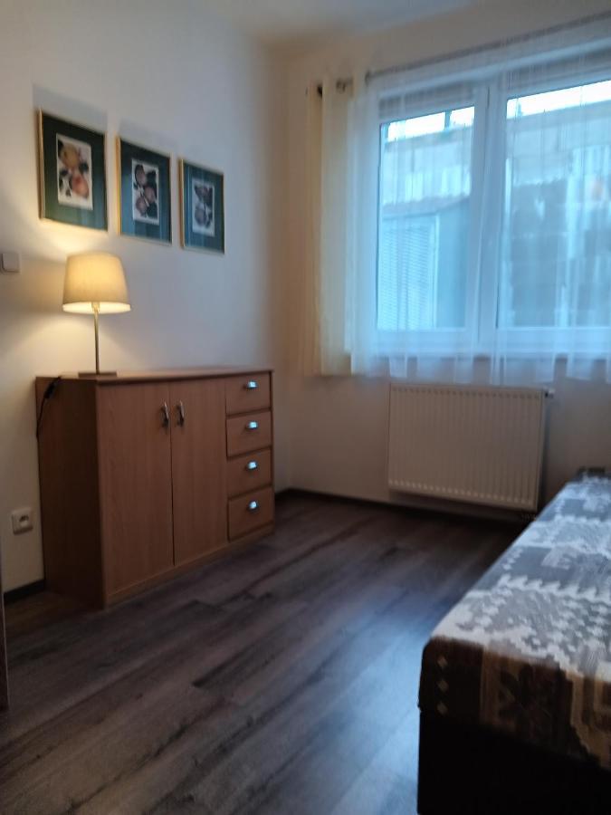 Rodinny Apartman Lucie V Blizkosti Wellness Hotelu Ve Frymburku エクステリア 写真